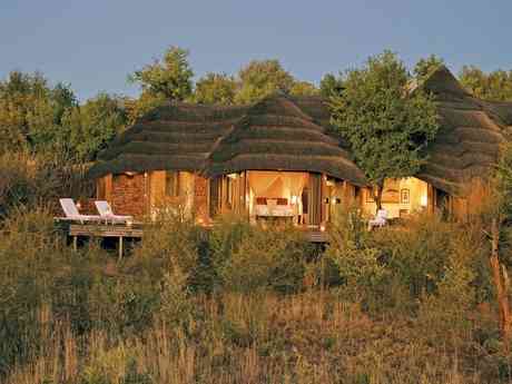 Amazing Madikwe Safari